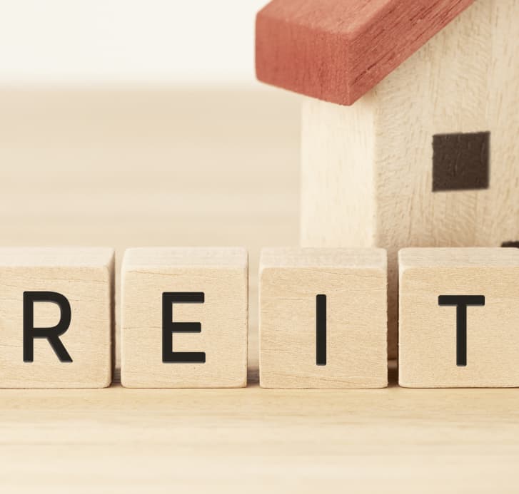 REIT Formation